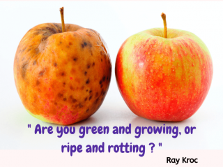 Is Your Business Green &amp; Growing Or Ripe And Rotting?